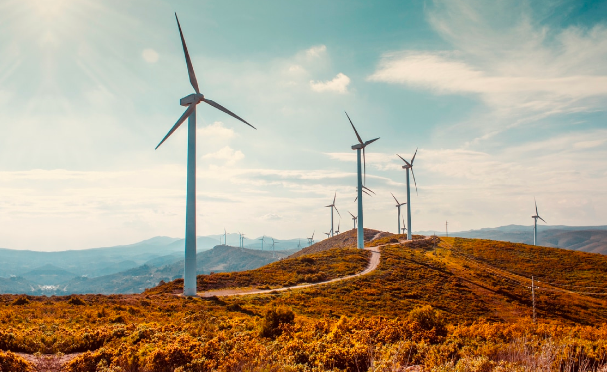 PEB Steel Alliance Ltd